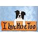 Border Collie I Live Here Too Maple Finish Sign BLACK