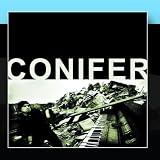 Conifer