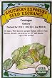 USDA Certified Organic Italian Catalogna Chicory Seeds