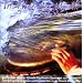 Im Fluss der Musik