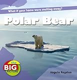 Polar bear : what if your home was melting away?