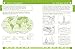 DK Workbooks: Geography, Fourth Grade: Learn and Explore