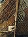 Boatbuilder, Sunda Kelapa (Old Port), Jakarta (Djakarta), Java, Indonesia Art Photographic Poster Print by Charles Bowman, 9x12