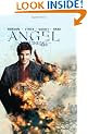 Angel: After The Fall Volume 4 HC: After the Fall v. 4 (Angel (IDW Hardcover))