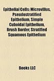 Epithelial Cells: Microvillus, Pseudostratified Epithelium, Simple Cuboidal Epithelium, Brush Border, Stratified Squamous Epithelium
