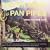 Indie Pan-Pipe Hits