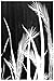 G2 Chic Women's Lace Tribal Spring Summer Jersey Maxi Dress
