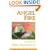 Angel Fire