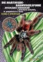 Die Martinique-Baumvogelspinne: Avicularia versicolor