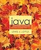 Java Software Solutions: Foundations of Program Design (with Lab Manual, MyCodeMate & Tutor Center) (5th Edition)
