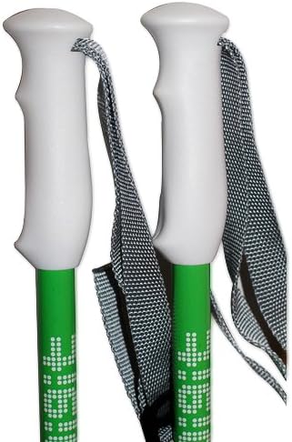 Jolly Green Ski Pole - 32"