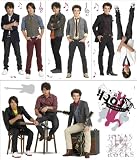 Jonas Brothers Wall Decals & Murals