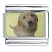 labrador48  - Labrador Retriever Gift Italian Charm