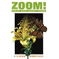 Zoom!