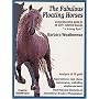 The Fabulous Floating Horses