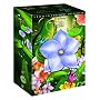 Trilli - 5 Magici Film (5 Dvd) <b>DVD</b> ~ J.M. Barrie
