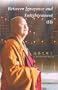 Between Ignorance and Enlightenment (II)