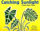 Catching Sunlight: A Book About Leaves (Growing Things (Picture Window Books))