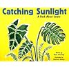 Catching Sunlight: A Book About Leaves (Growing Things (Picture Window Books))