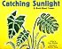 Catching Sunlight: A Book About Leaves (Growing Things)