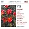 Charles Ives's Songs from A to Z and More