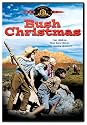 Bush Christmas