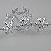 Fowod Winter Christmas Snowflake Trim Crafts Decoration,11 Yard/33 Feet,1 inch Wide (Silver)