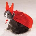 The Evil One Cat Costume