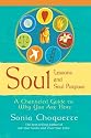 Soul Lessons and Soul Purpose: A Channeled Guide to Why You Are Here