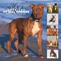 American Pit Bull Terriers 365 Days 2007 Calendar