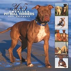 American Pit Bull Terriers 365 Days 2007 Calendar
