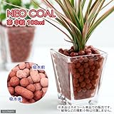パッケージなし ネオコール 茶 中粒 100mL