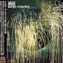 Dead Stra/In Your World