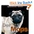 Der Mops: Ein Wunder der Natur