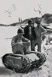 Canvas Print, US Navy Examines Nazi Beetle - 20 x 30