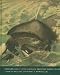Whales, Whaling, And Ocean Ecosystems