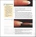 Books : The Encyclopedia of Nails (Hairdressing & Beauty Industry Authority)