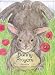 Books : Bunny Prayers (Paws for Thought)