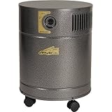Allerair 5000 DS Air Purifier - Tobacco Smoke Effects Neutralization