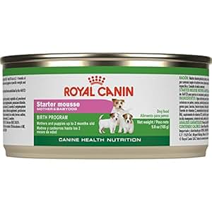 Royal Canin Starter Mousse For Mother And Baby Dog Canned Dog Food, 5.8 ...
