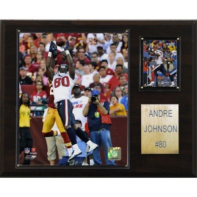 NFL Houston Texans Andre Johnson Photo Player Plaque