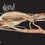 Transfer Trachea Reverberations
