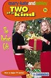 The Perfect Gift (Two of a Kind Diaries)