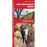 san francisco birds a folding pocket guide to familiar bay area species pocket naturalist guide series