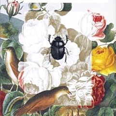 完訳 ファーブル昆虫記 第1巻 上