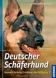 Deutscher Schäferhund: Auswahl, Haltung, Erziehung, Beschäftigung