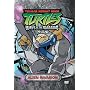 Teenage Mutant Ninja Turtles - Season 3, Volume 1: Alien Invasion (Ways of the Warrior)