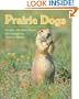 Prairie Dogs