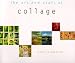 The Art and Craft of Collage