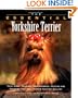 The Essential Yorkshire Terrier (Howell Book House's Essential)
